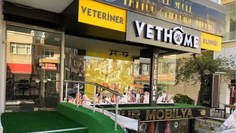 VetLive Veteriner Muayenehanesi foto 2