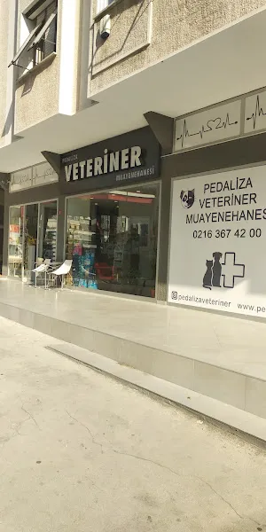 Pedaliza Veteriner Kliniği foto 2