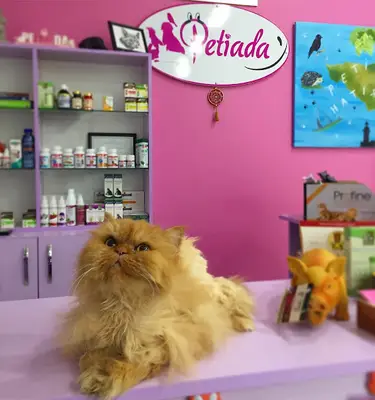 Petiada Veteriner Kliniği