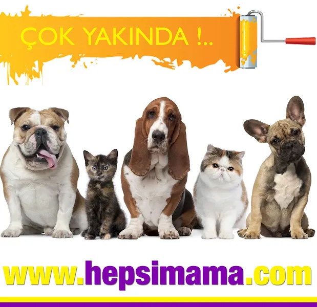 Hepsi Mama foto 2