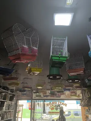 Pati Park Petshop fotoğrafı