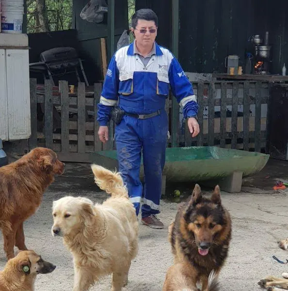 ŞENLİKKÖY VETERİNER KLİNİĞİ foto 2