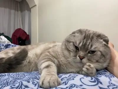 Yaldıran Veteriner Kliniği fotoğrafı