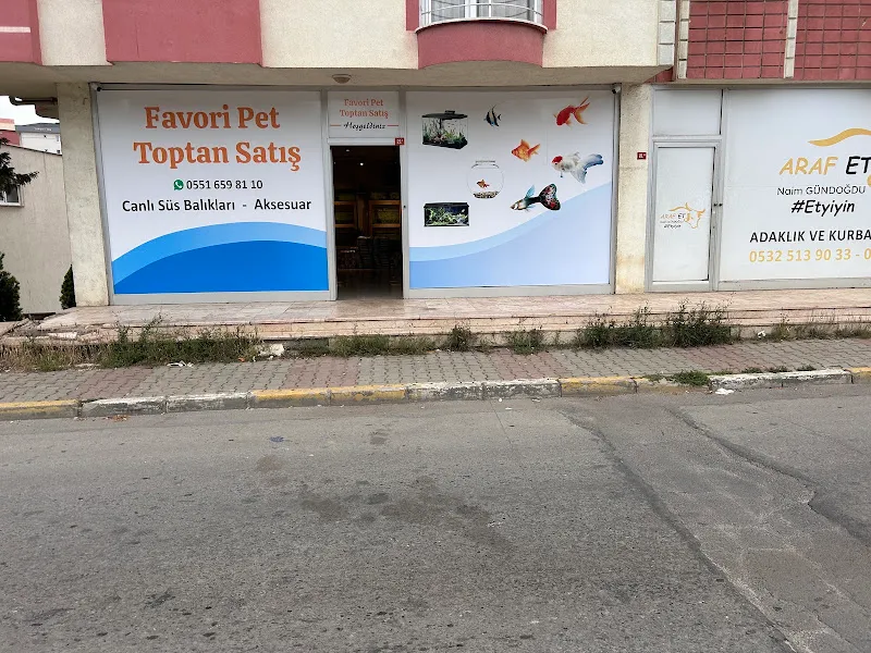 REİS HOBİ ÜRETİM foto 1