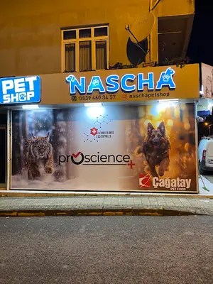 NASCHA PETSHOP fotoğrafı