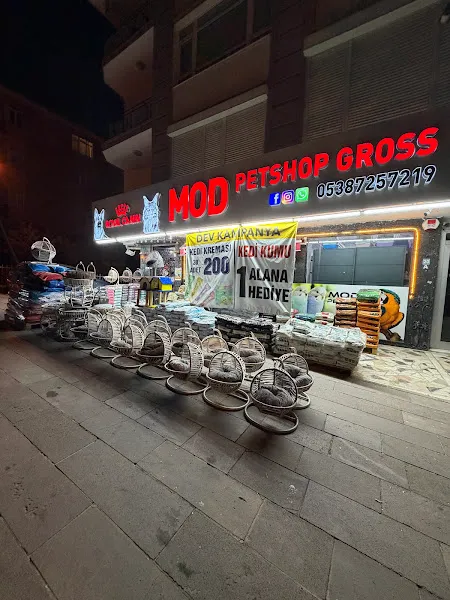 Mod Petshop Gross foto 2