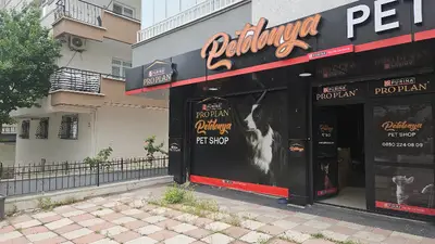 Petolonya Petshop