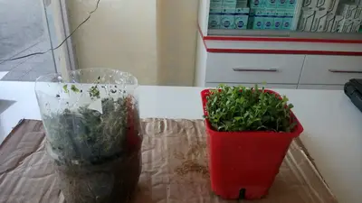 Yeni Vadi Veteriner Kliniği fotoğrafı