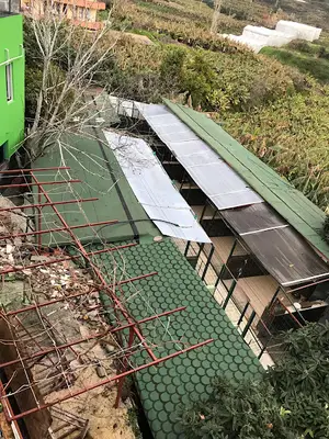 Carina Köpek barınağı fotoğrafı