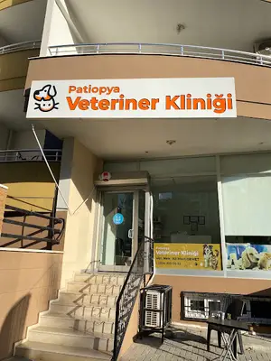 Patiopya veteriner kliniği fotoğrafı