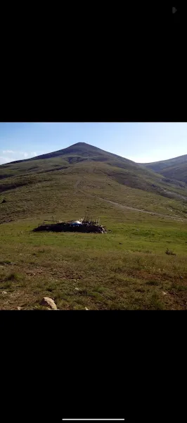 Mustan ateşin yeri sarı tepe foto 2