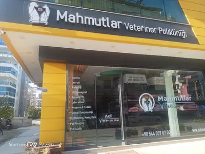 Mahmutlar Veteriner Polikliniği