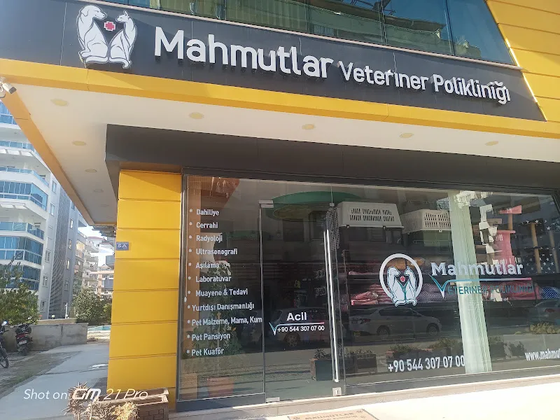 Mahmutlar Veteriner Polikliniği foto 1