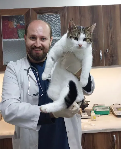 Minik Patiler Veteriner Kliniği foto 1