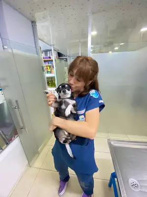 Dali Veteriner Kliniği fotoğrafı