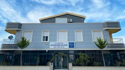 ALTINTAŞ VETERİNER KLİNİĞİ