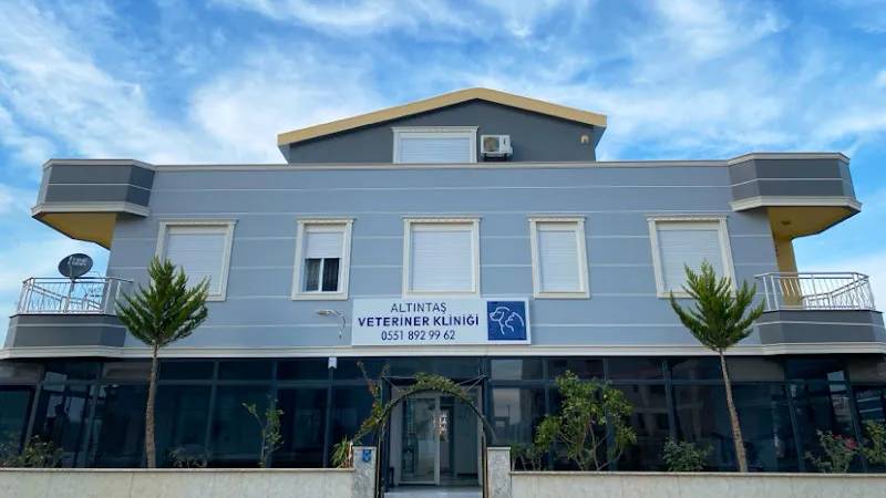 ALTINTAŞ VETERİNER KLİNİĞİ foto 1