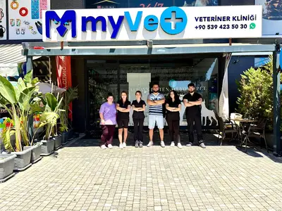 My Vet Veteriner Kliniği (since 2017) fotoğrafı