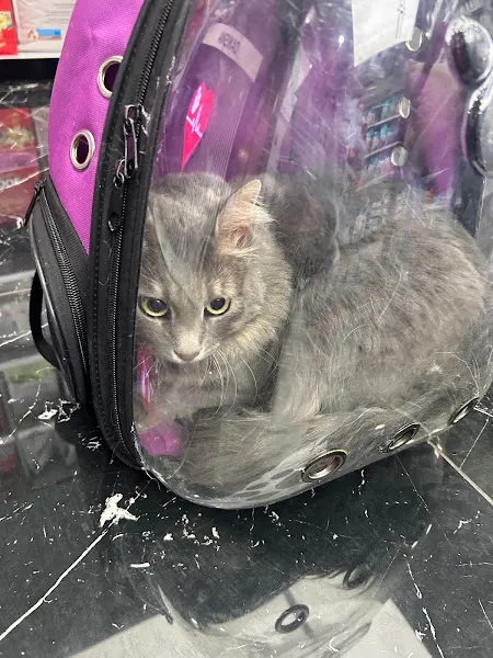 Yumi Veteriner Kliniği foto 2