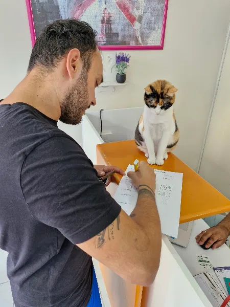 Sweet Pets Veteriner Kliniği foto 2