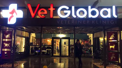VetGlobal Veteriner Kliniği