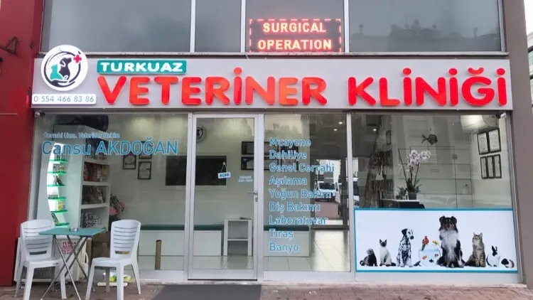 Turkuaz Veteriner Kliniği foto 1