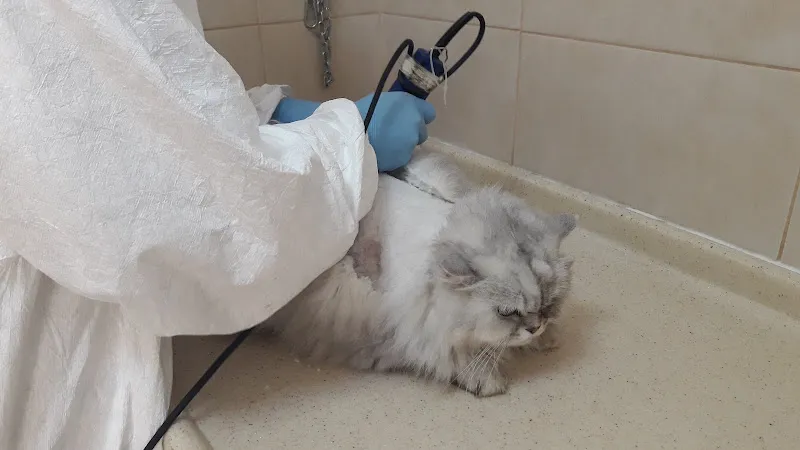 Kibas Veteriner Kliniği foto 2