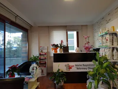 GOP Veteriner Kliniği