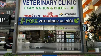 FOX VETERINARY CLINIC / ВЕТЕРИНАРНАЯ КЛИНИКА