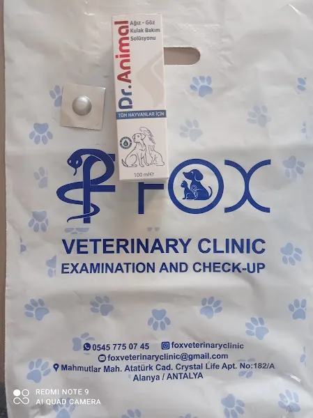 FOX VETERINARY CLINIC / ВЕТЕРИНАРНАЯ КЛИНИКА foto 2