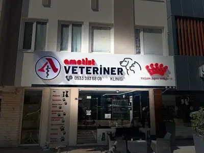 Ametist Veteriner Kliniği