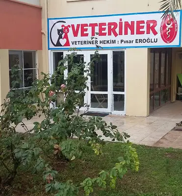 Pınar EROĞLU Veteriner Kliniği-Meltem