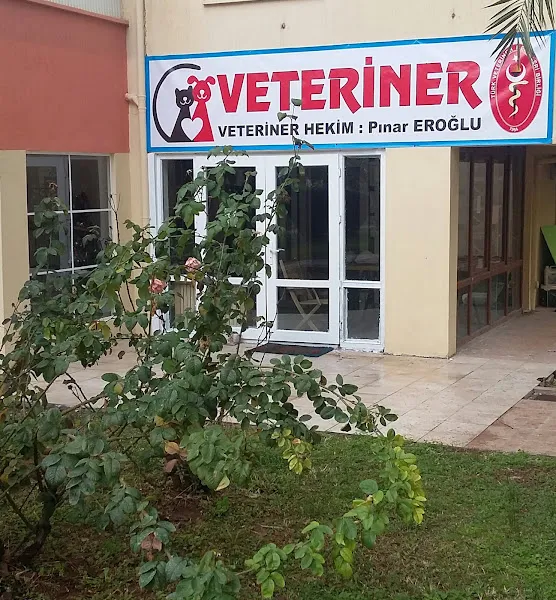Pınar EROĞLU Veteriner Kliniği-Meltem foto 1