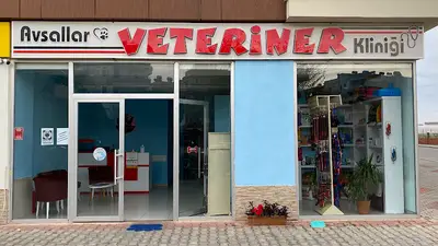 Avsallar Veteriner Kliniği / Kleintierpraxis / Pet Clinic fotoğrafı