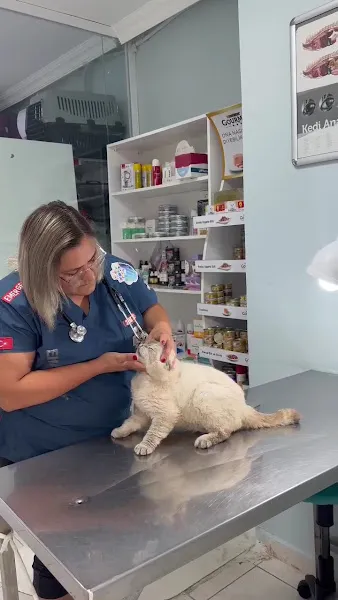 Çiğdem Veteriner Kliniği foto 2