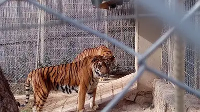 ANTALYA DOĞAL YAŞAM PARKI