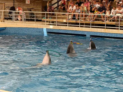 Aksu Dolphin Aquarium