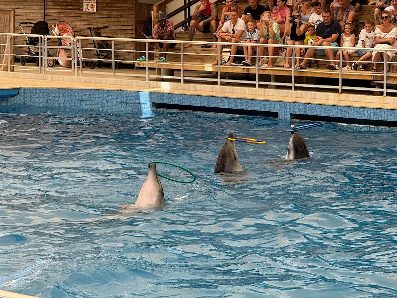 Aksu Dolphin Aquarium foto 1