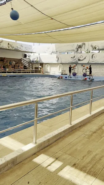 Aksu Dolphin Aquarium foto 2
