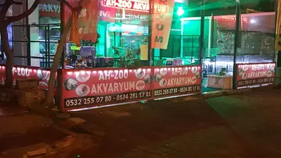 AH-ZOO PETSHOP AKVARYUM DEVREN SATILIKTIR.
