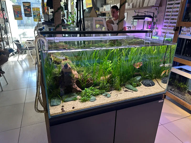 Adtalos Aquascaping Shop foto 2