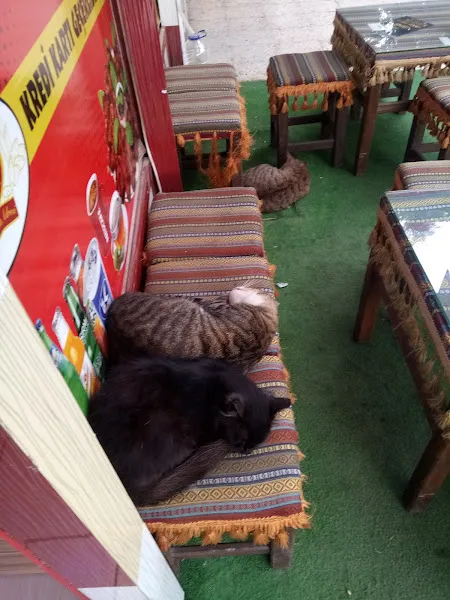 Solmaz Petshop foto 2