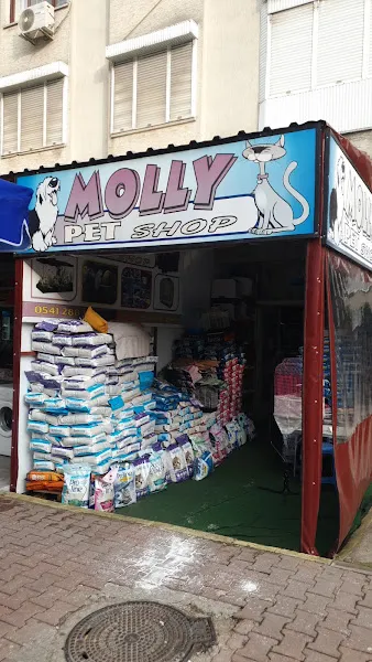 MOLLY PET SHOP foto 1