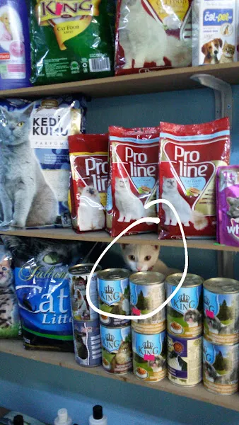 MOLLY PET SHOP foto 2