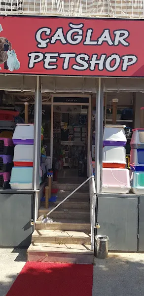 Çağlar Petshop foto 2
