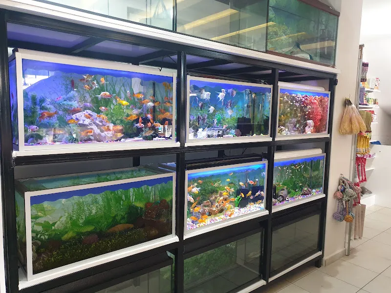 Mahmutlar Fundy Petshop Kedi ve Köpek Maması & Aksesuarlar foto 2