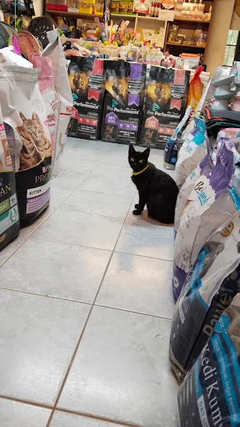 Robin Ticaret (PetShop) foto 2