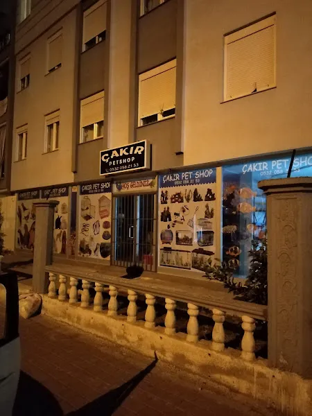 Çakır Petshop foto 1