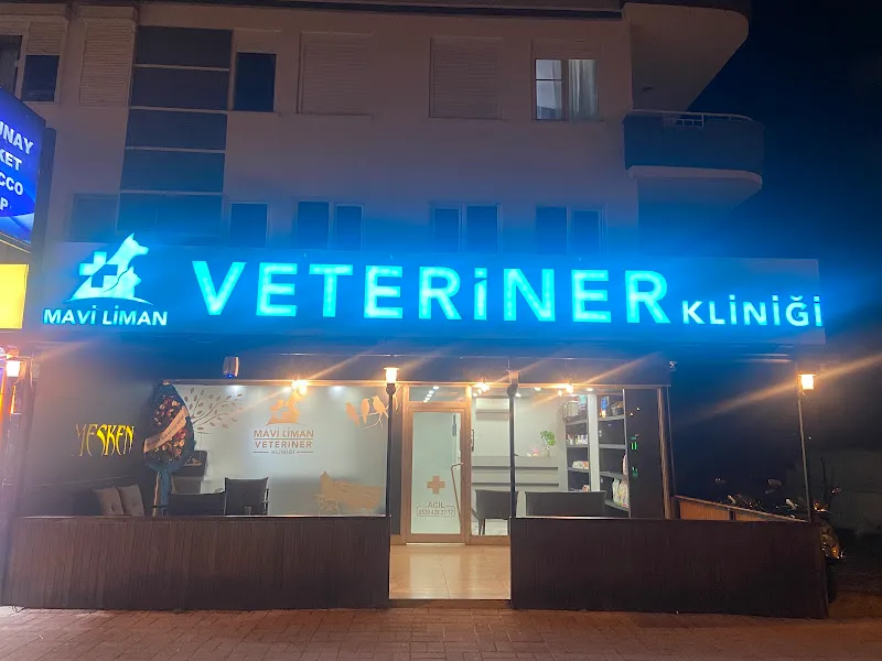 Mavi Liman Veteriner Kliniği foto 1