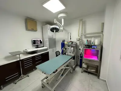 Evcilyum Veteriner Kliniği